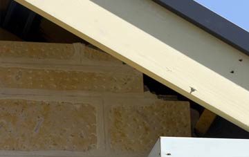 soffit repair Parkstone