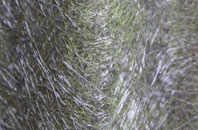 Parkstone fibreglass roof work